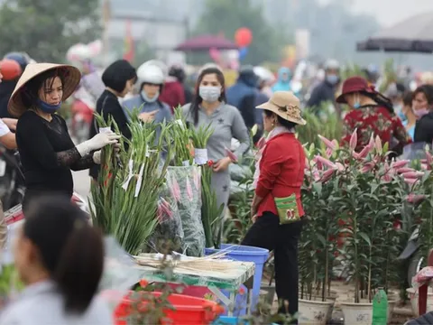 Người mua bán ở chợ hoa Mê Linh từ 20/3 cần liên hệ y tế gấp