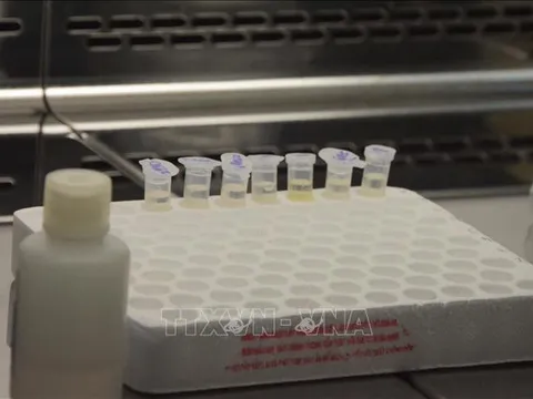 Tạm dừng xuất khẩu thuốc phòng, chống COVID-19 từ ngày 16/4