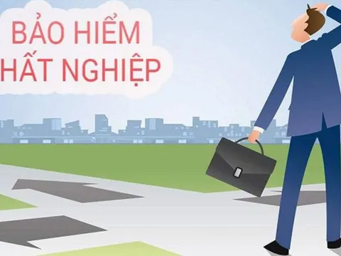 Chi tiết các thủ thục, điều kiện để người lao động được hưởng trợ cấp thất nghiệp