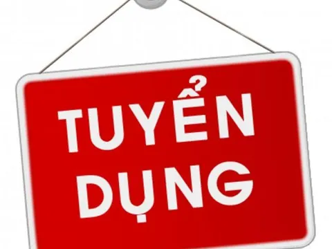 Chuyên trang Diễn đàn Pháp luật - Pháp Luật Net tuyển dụng phóng viên