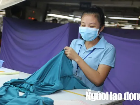 7 đối tượng được nghỉ việc không cần báo trước từ năm 2021