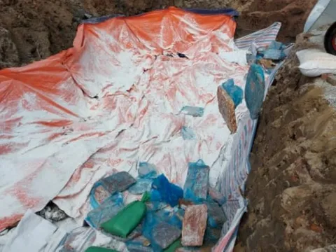 Hải Dương: Tiêu hủy hơn 72 tấn nội tạng động vật không rõ nguồn gốc