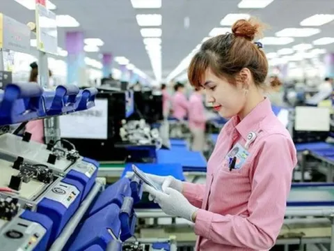 Người lao động được nghỉ không lương tối đa bao nhiêu ngày trong năm?