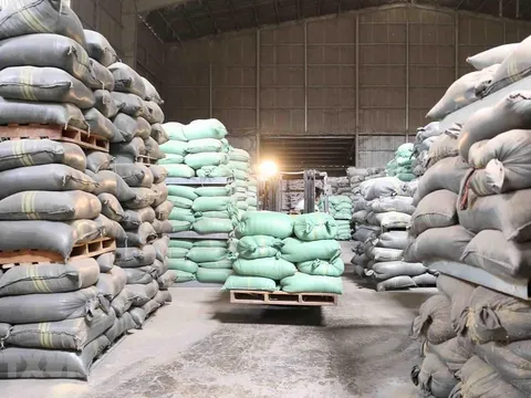 Bộ Tài chính công bố kết quả thanh tra mua gạo dự trữ quốc gia