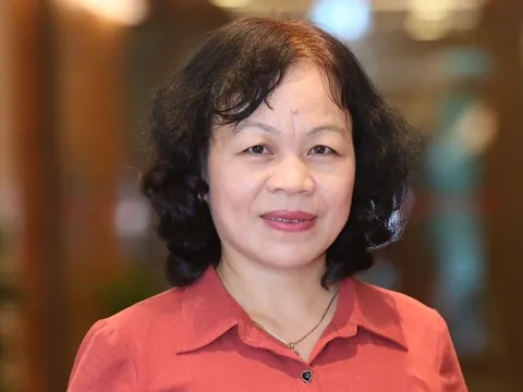 Vấn nạn tham nhũng vặt, đừng để tình trạng 'chặt vòi này, tòi vòi khác'