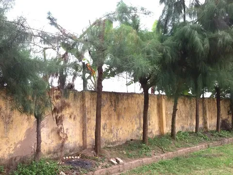 Nam học sinh lớp 9 ở Hải Dương tử vong do điện giật trong khi lao động tại trường