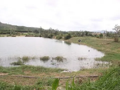 Tìm thấy thi thể 3 học sinh chết đuối ở Bình Định