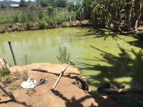 Hai cha con ở Quảng Nam bị điện giật tử vong khi kéo điện bắt cá