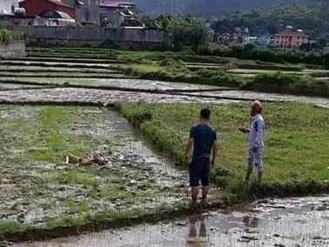 Điện Biên: Điều tra thảm án khiến 1 người phụ nữ, 2 người đàn ông tử vong