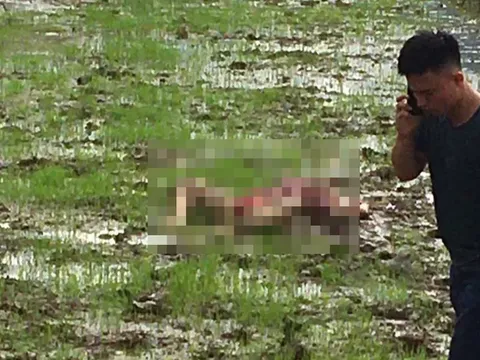 Khởi tố vụ án, triệu tập 9 người liên quan thảm án 3 người tử vong ở Điện Biên