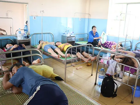 Hàng trăm người nhập viện khẩn cấp do món miến xào hải sản nhiễm khuẩn E.Coli