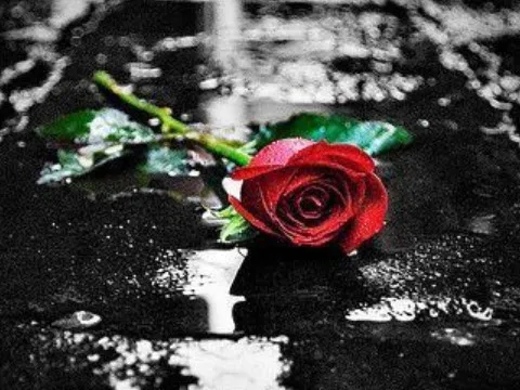 Không phải ta cứ cho đi, thì họ sẽ đáp lại...