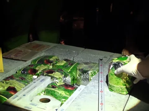 Phát hiện 40 kg ma tuý đá trong container ở Sài Gòn