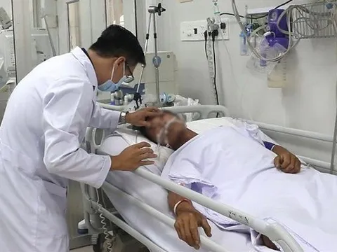 Người đàn ông bị rắn hổ mang chúa cắn đang nguy kịch