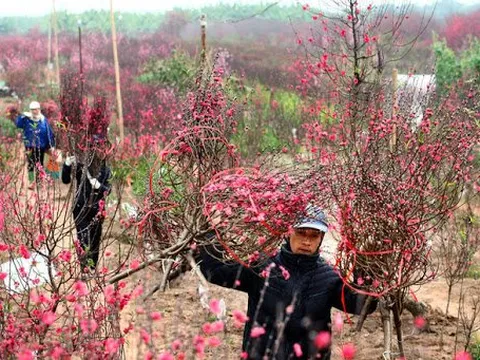 Từ năm 2021, lịch nghỉ Tết Nguyên đán thay đổi thế nào?