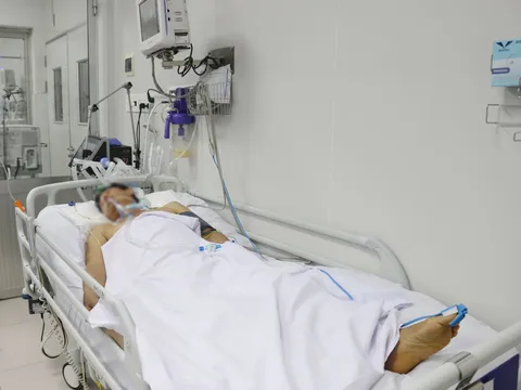 Công ty sản xuất pate Minh Chay sẽ phải bồi thường và đối diện mức phạt nào?