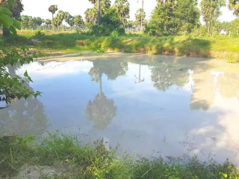 An Giang: Rủ nhau tắm ở hồ sau vườn, 5 em nhỏ đuối nước tử vong