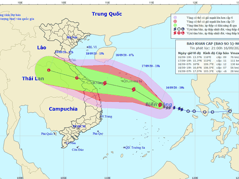 Tin về cơn bão số 5