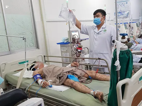 Người đàn ông bị hôn mê, liệt toàn thân sau khi ăn cá mặt thỏ