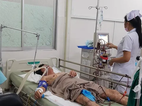 Người đàn ông ngộ độc nặng do uống rượu cùng thuốc diệt rầy