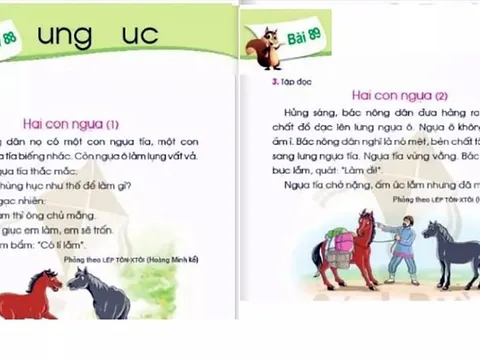 Khi sách giáo khoa lạm dụng sự vay mượn