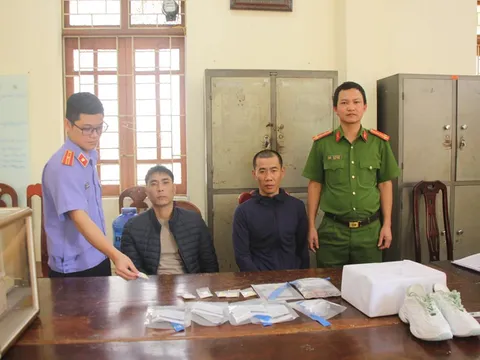 Triệt phá đường dây ma túy xuyên quốc gia, chuyên giao dịch qua mạng