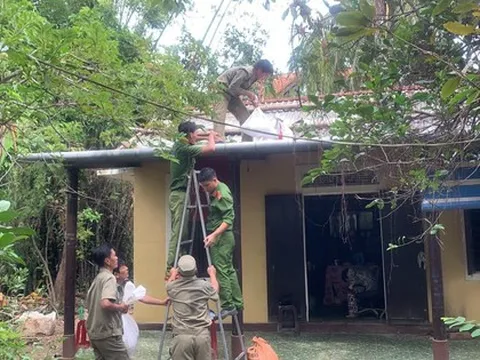 Đà Nẵng, Thừa Thiên - Huế đồng loạt yêu cầu người dân không ra khỏi nhà từ trưa 14/11