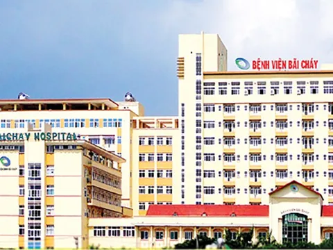 Quảng Ninh: Người đàn ông dùng dao chém vợ con và người nhà rồi nhảy lầu tự sát