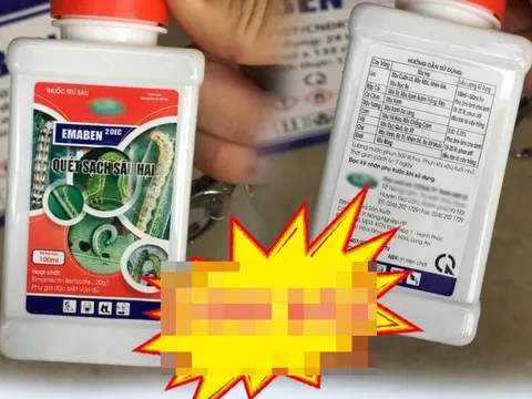 Bé trai 2 tuổi uống nhầm thuốc trừ sâu phải nhập viện cấp cứu