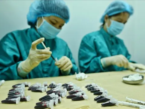 Việt Nam sẽ thử nghiệm giai đoạn 1 vắc xin COVID-19 trên những người tự nguyện hoàn toàn