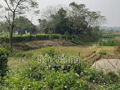 Đôi nam nữ tử vong bất thường trong lều cá giữa cánh đồng ở Bắc Giang