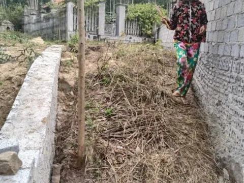 Chuyện lạ chính quyền 'thỏa hiệp' với sai phạm ở Thanh Hóa