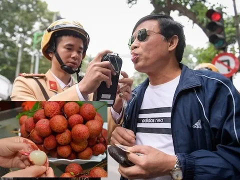 Bộ GTVT lên tiếng về thông tin ăn trái cây có nồng độ cồn cũng bị xử phạt