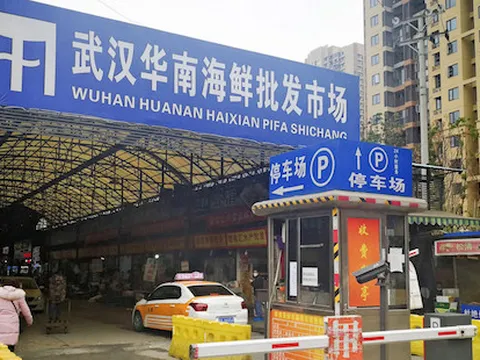 Nhật Bản ghi nhận ca nhiễm viêm phổi Vũ Hán đầu tiên