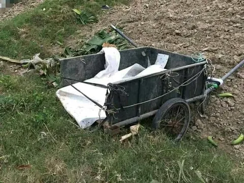 Truy tìm tài xế ô tô gây tai nạn chết người rồi bỏ trốn ở Hải Dương