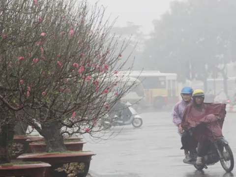 Dự báo thời tiết ngày 24/1: Chiều và tối nay Bắc Bộ có mưa, rét đậm