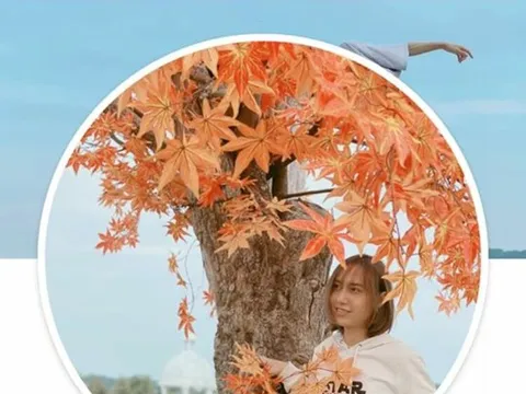 Lynk Lee thay đổi thông tin cá nhân thành giới tính nữ