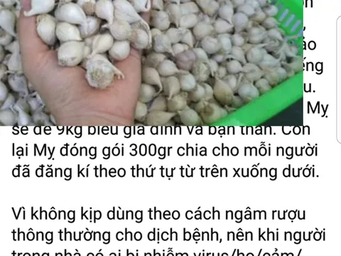 Sự thật về cách tiêu diệt virus corona nhờ tỏi cô đơn Lý Sơn đang lan truyền