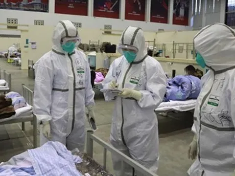 Dịch Covid-19: Thông tin mới nhất từ WHO