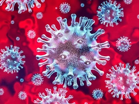 Virus corona gây bệnh Covid-19 có tên mới là SARS-CoV-2