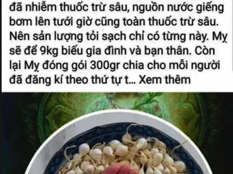 Facebooker Lương Hoàng Anh bị xử phạt 12,5 triệu đồng vì tung tin thất thiệt về tỏi Lý Sơn