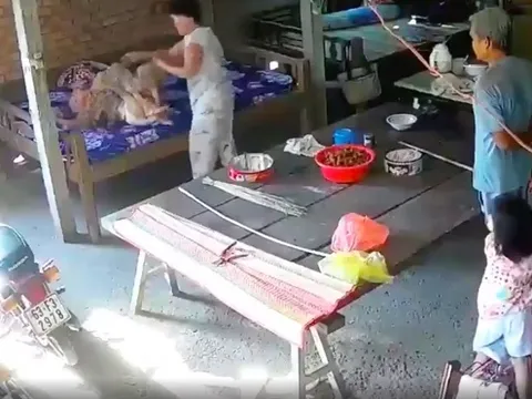Công an vào cuộc xác minh vụ nghi con trai cùng vợ bạo hành mẹ già 88 tuổi