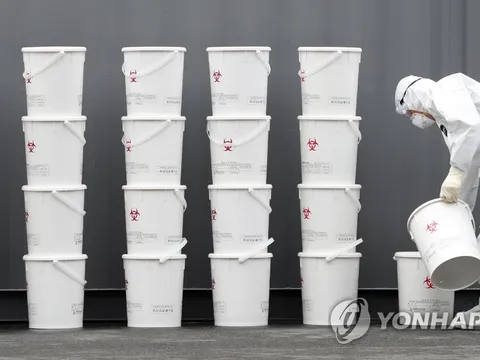 Phát hiện cháu bé 45 ngày tuổi ở Hàn Quốc dương tính với Covid-19