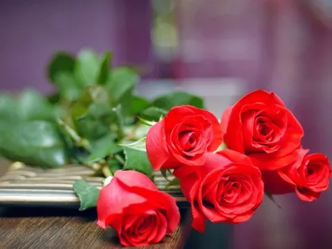 Những lời chúc ngày 8/3 dành tặng đồng nghiệp nữ hay nhất