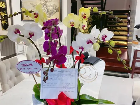 Bất ngờ với món quà Quốc Trường tặng mẹ ngày 8/3