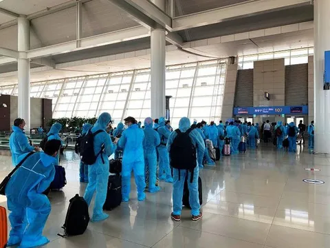 Thông tin về việc đưa công dân về nước dịp Tết Tân Sửu