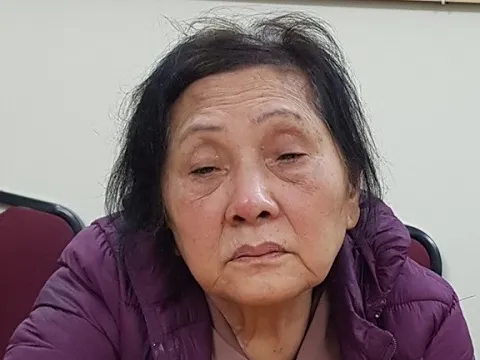 Bắt giữ cụ bà 74 tuổi gây ra hàng loạt vụ trộm cắp ở Hải Phòng
