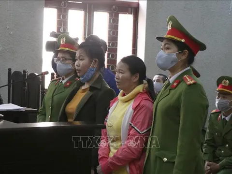 Hoãn phiên tòa xét xử mẹ nữ sinh giao gà và đồng phạm