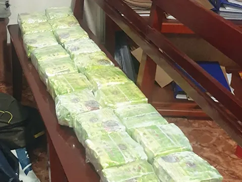 Đồng Nai: Triệt phá đường dây, thu giữ 20 kg ma túy đá