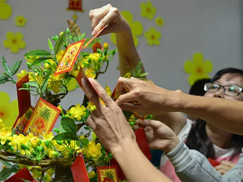 Hái lộc đầu năm Tân Sửu sao cho đúng để mang tài lộc, may mắn về nhà